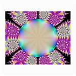 FF247 Glasses Cloth