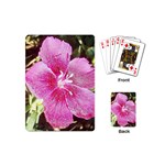 FH-009 - Fran Hoffpauir - Dianthus Playing Cards (Mini)