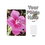 FH-009 - Fran Hoffpauir - Dianthus Playing Cards 54 (Mini)