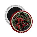 FH-009 Fran Hoffpauir  - More Mums 2.25  Magnet