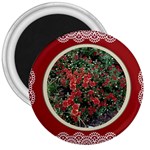 FH-009 Fran Hoffpauir  - More Mums 3  Magnet