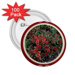FH-009 Fran Hoffpauir  - More Mums 2.25  Button (100 pack)