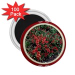 FH-009 Fran Hoffpauir  - More Mums 2.25  Magnet (100 pack) 