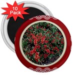 FH-009 Fran Hoffpauir  - More Mums 3  Magnet (10 pack)