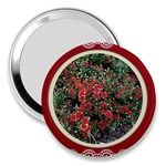 FH-009 Fran Hoffpauir  - More Mums 3  Handbag Mirror