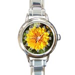 Fh 009 Fran Hoffpauir   A Dew Covered Mum Round Italian Charm Watch