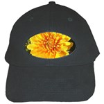 Fh 009 Fran Hoffpauir   A Dew Covered Mum Black Cap