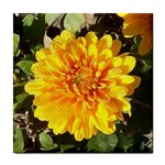 Fh 009 Fran Hoffpauir   A Dew Covered Mum Tile Coaster