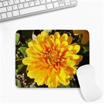 Fh 009 Fran Hoffpauir   A Dew Covered Mum Small Mousepad