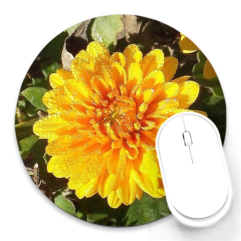 Fh 009 Fran Hoffpauir   A Dew Covered Mum Round Mousepad from ArtsNow.com Front