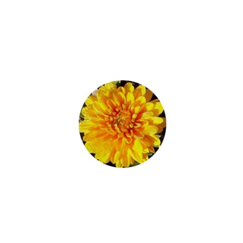 Fh 009 Fran Hoffpauir   A Dew Covered Mum 1  Mini Magnet from ArtsNow.com Front