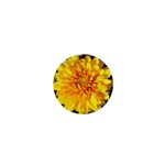 Fh 009 Fran Hoffpauir   A Dew Covered Mum 1  Mini Magnet