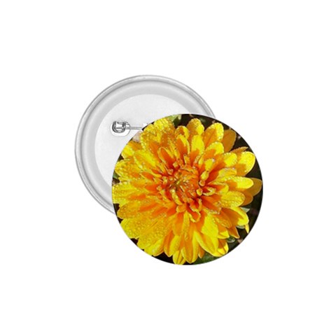 Fh 009 Fran Hoffpauir   A Dew Covered Mum 1.75  Button from ArtsNow.com Front