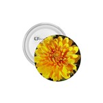 Fh 009 Fran Hoffpauir   A Dew Covered Mum 1.75  Button