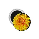 Fh 009 Fran Hoffpauir   A Dew Covered Mum 1.75  Magnet