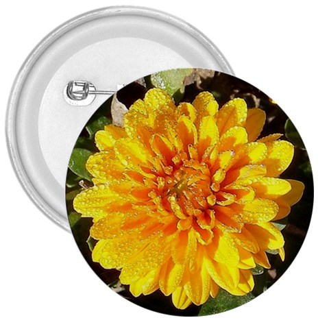 Fh 009 Fran Hoffpauir   A Dew Covered Mum 3  Button from ArtsNow.com Front