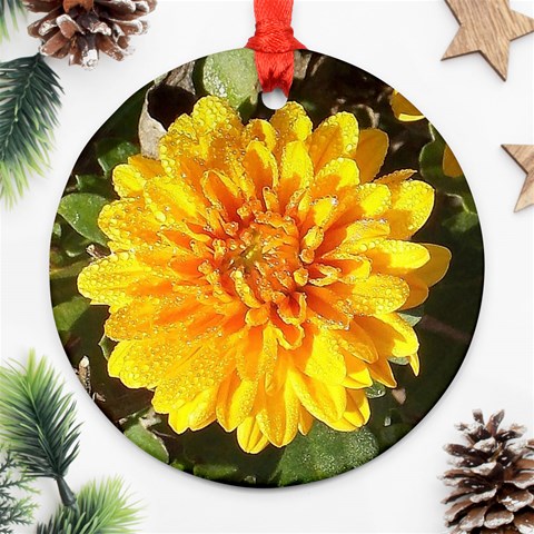 Fh 009 Fran Hoffpauir   A Dew Covered Mum Ornament (Round) from ArtsNow.com Front