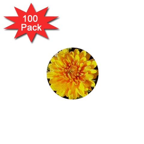 Fh 009 Fran Hoffpauir   A Dew Covered Mum 1  Mini Button (100 pack)  from ArtsNow.com Front