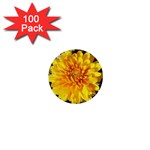 Fh 009 Fran Hoffpauir   A Dew Covered Mum 1  Mini Button (100 pack) 