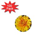 Fh 009 Fran Hoffpauir   A Dew Covered Mum 1  Mini Magnet (100 pack) 