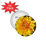 Fh 009 Fran Hoffpauir   A Dew Covered Mum 1.75  Button (10 pack) 
