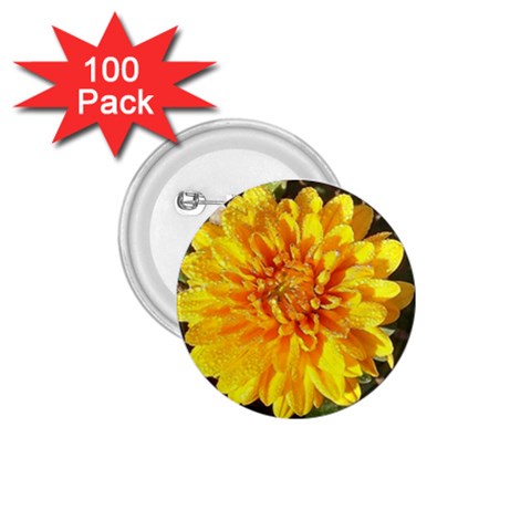 Fh 009 Fran Hoffpauir   A Dew Covered Mum 1.75  Button (100 pack)  from ArtsNow.com Front