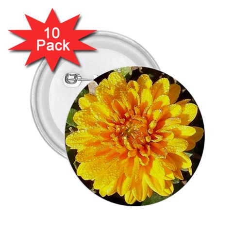 Fh 009 Fran Hoffpauir   A Dew Covered Mum 2.25  Button (10 pack) from ArtsNow.com Front