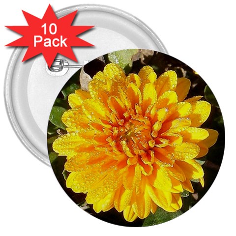 Fh 009 Fran Hoffpauir   A Dew Covered Mum 3  Button (10 pack) from ArtsNow.com Front