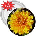 Fh 009 Fran Hoffpauir   A Dew Covered Mum 3  Button (10 pack)