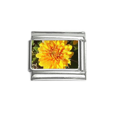Fh 009 Fran Hoffpauir   A Dew Covered Mum Italian Charm (9mm) from ArtsNow.com Front