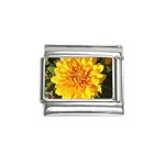 Fh 009 Fran Hoffpauir   A Dew Covered Mum Italian Charm (9mm)