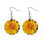 Fh 009 Fran Hoffpauir   A Dew Covered Mum 1  Button Earrings