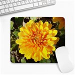 Fh 009 Fran Hoffpauir   A Dew Covered Mum Large Mousepad