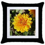 Fh 009 Fran Hoffpauir   A Dew Covered Mum Throw Pillow Case (Black)