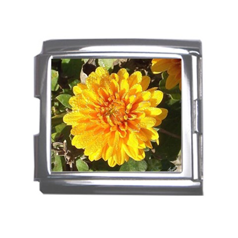 Fh 009 Fran Hoffpauir   A Dew Covered Mum Mega Link Italian Charm (18mm) from ArtsNow.com Front