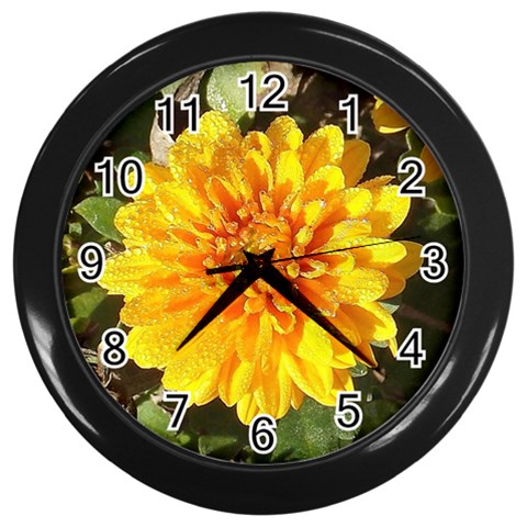Fh 009 Fran Hoffpauir   A Dew Covered Mum Wall Clock (Black) from ArtsNow.com Front