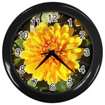 Fh 009 Fran Hoffpauir   A Dew Covered Mum Wall Clock (Black)