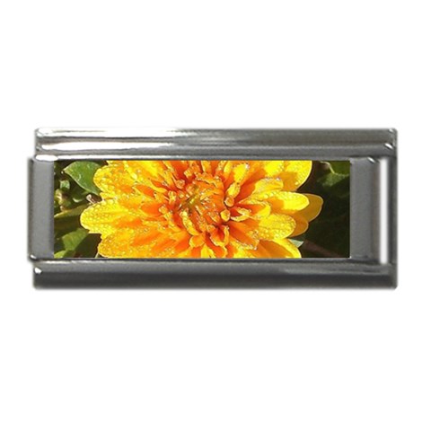 Fh 009 Fran Hoffpauir   A Dew Covered Mum Superlink Italian Charm (9mm) from ArtsNow.com Front