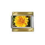 Fh 009 Fran Hoffpauir   A Dew Covered Mum Gold Trim Italian Charm (9mm)