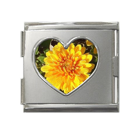 Fh 009 Fran Hoffpauir   A Dew Covered Mum Mega Link Heart Italian Charm (18mm) from ArtsNow.com Front