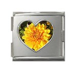 Fh 009 Fran Hoffpauir   A Dew Covered Mum Mega Link Heart Italian Charm (18mm)