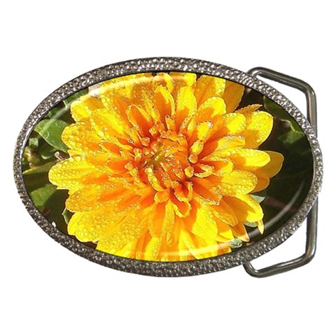 Fh 009 Fran Hoffpauir   A Dew Covered Mum Belt Buckle from ArtsNow.com Front