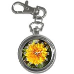 Fh 009 Fran Hoffpauir   A Dew Covered Mum Key Chain Watch