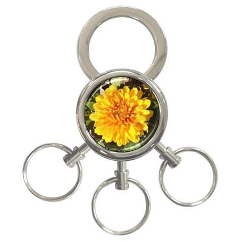 Fh 009 Fran Hoffpauir   A Dew Covered Mum 3 Front