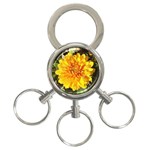 Fh 009 Fran Hoffpauir   A Dew Covered Mum 3-Ring Key Chain