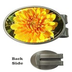 Fh 009 Fran Hoffpauir   A Dew Covered Mum Money Clip (Oval)