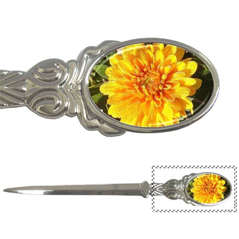 Fh 009 Fran Hoffpauir   A Dew Covered Mum Letter Opener from ArtsNow.com Front