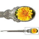 Fh 009 Fran Hoffpauir   A Dew Covered Mum Letter Opener