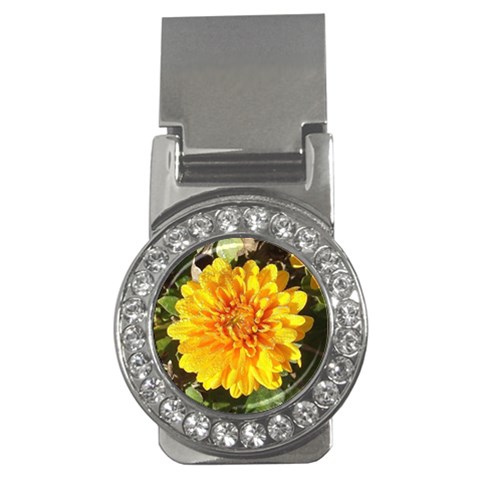 Fh 009 Fran Hoffpauir   A Dew Covered Mum Money Clip (CZ) from ArtsNow.com Front