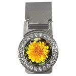 Fh 009 Fran Hoffpauir   A Dew Covered Mum Money Clip (CZ)